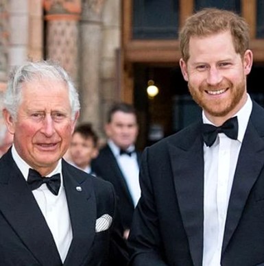 Regretele Prințului Harry. Ce decizie a luat după ce s-a văzut cu tatăl său, Regele Charles