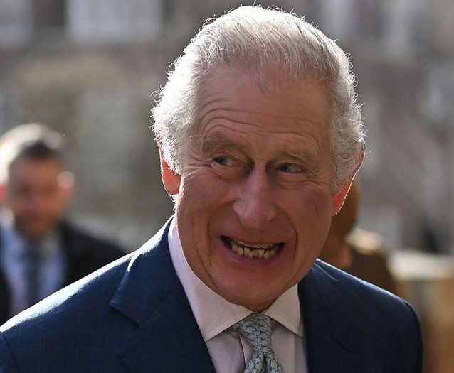 Prințul Harry și Regele Charles, întâlnire după mai bine de un an. Ce au discutat la Casa Clarence