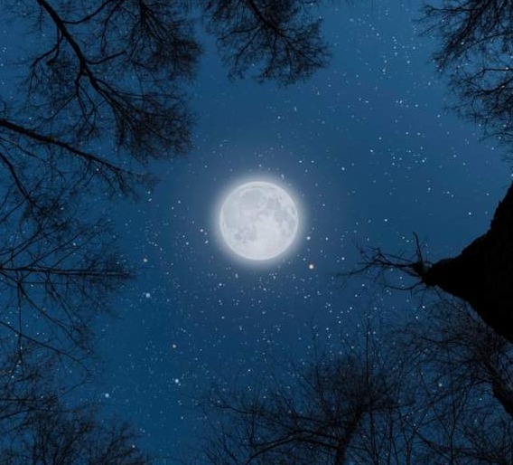 Luna Nouă în Balanță – 21 octombrie 2025: Un nou început al echilibrului și armoniei interioare