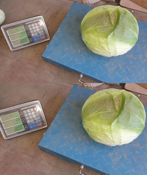 Noua înșelătorie cu varză: zeci de români păgubiți. Cum funcționează schema și cum te poți proteja