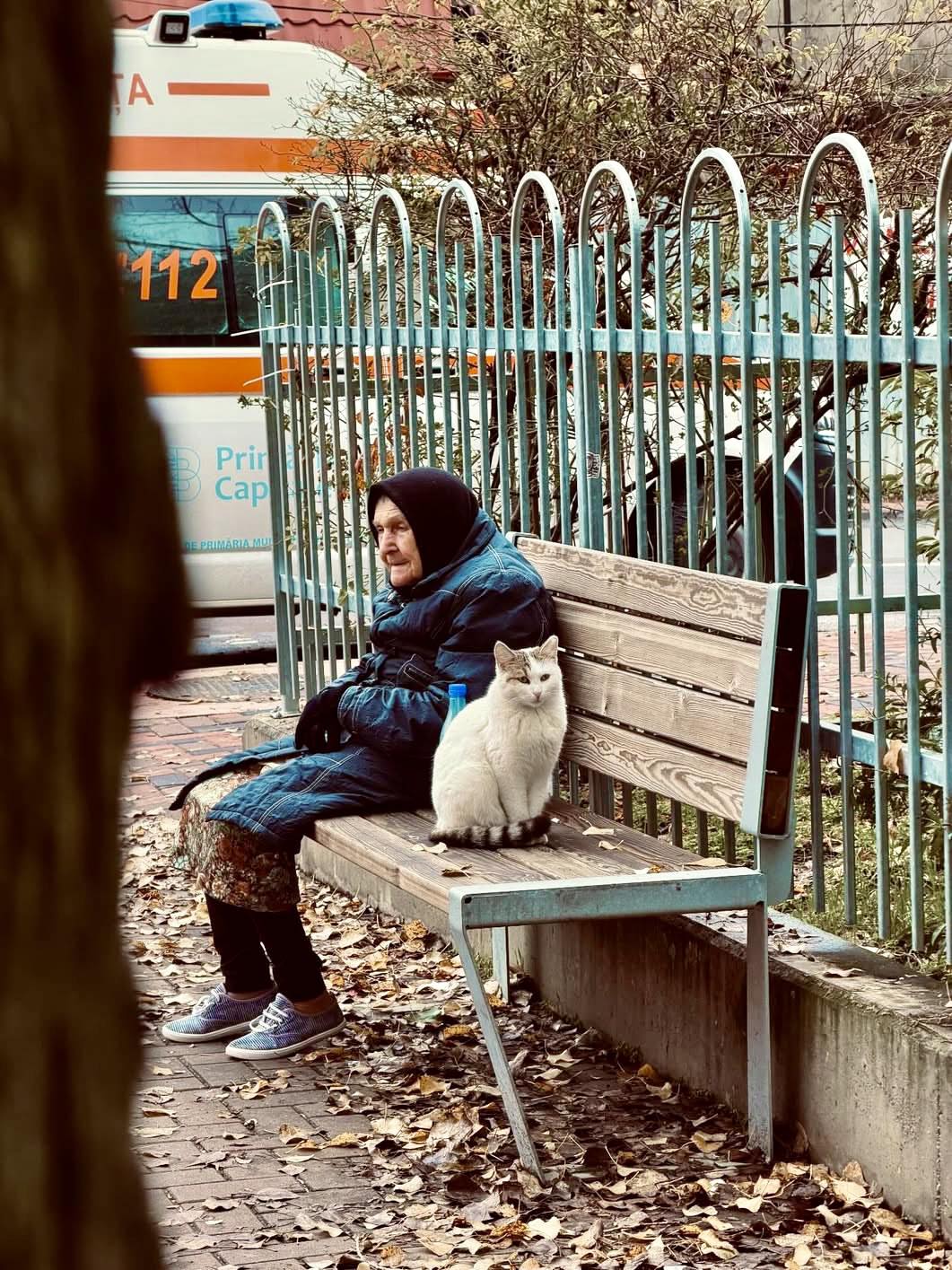 O fotografie surprinsă pe o bancă din București a reușit să zguduie mii de oameni. În ea, o bătrână cunoscută de locuitorii din zona Trapezului stă în tăcere, cu privirea pierdută, iar alături de ea se află singurul suflet care nu a abandonat-o
