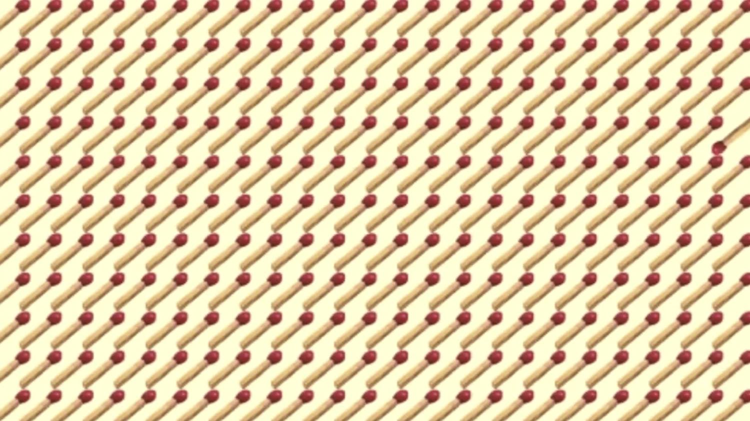 Test vizual pentru minți agere: Găsește bățul de chibrit diferit