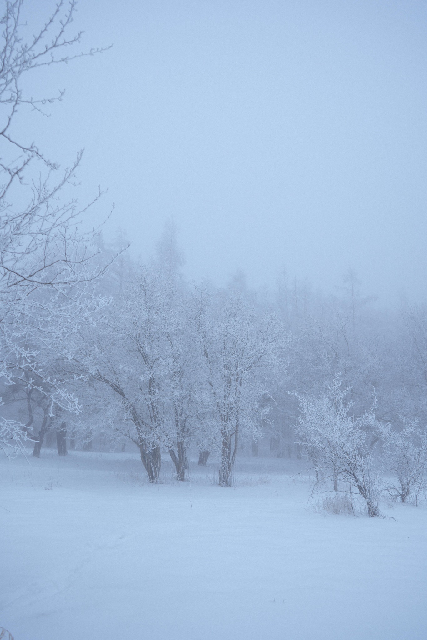 „Iarna secolului” ajunge și în București! Capitala intră într-o perioadă cu ninsori și ger năprasnic: