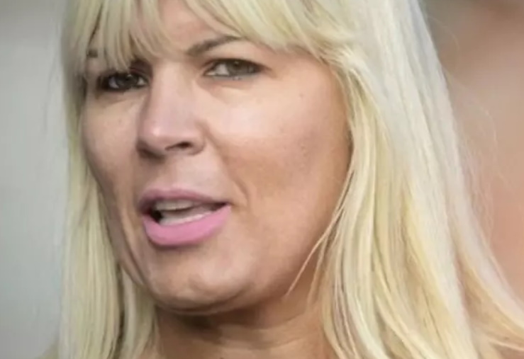 Elena Udrea își cere înapoi bunurile confiscate după executarea silită:
