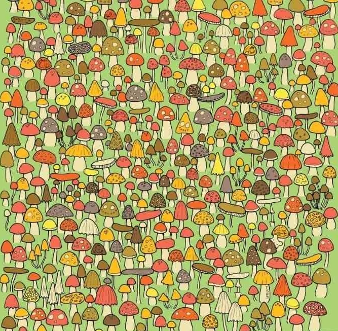 Test de perspicacitate | Doar geniile zăresc șoricelul ascuns în imagine în mai puțin de 28 de secunde