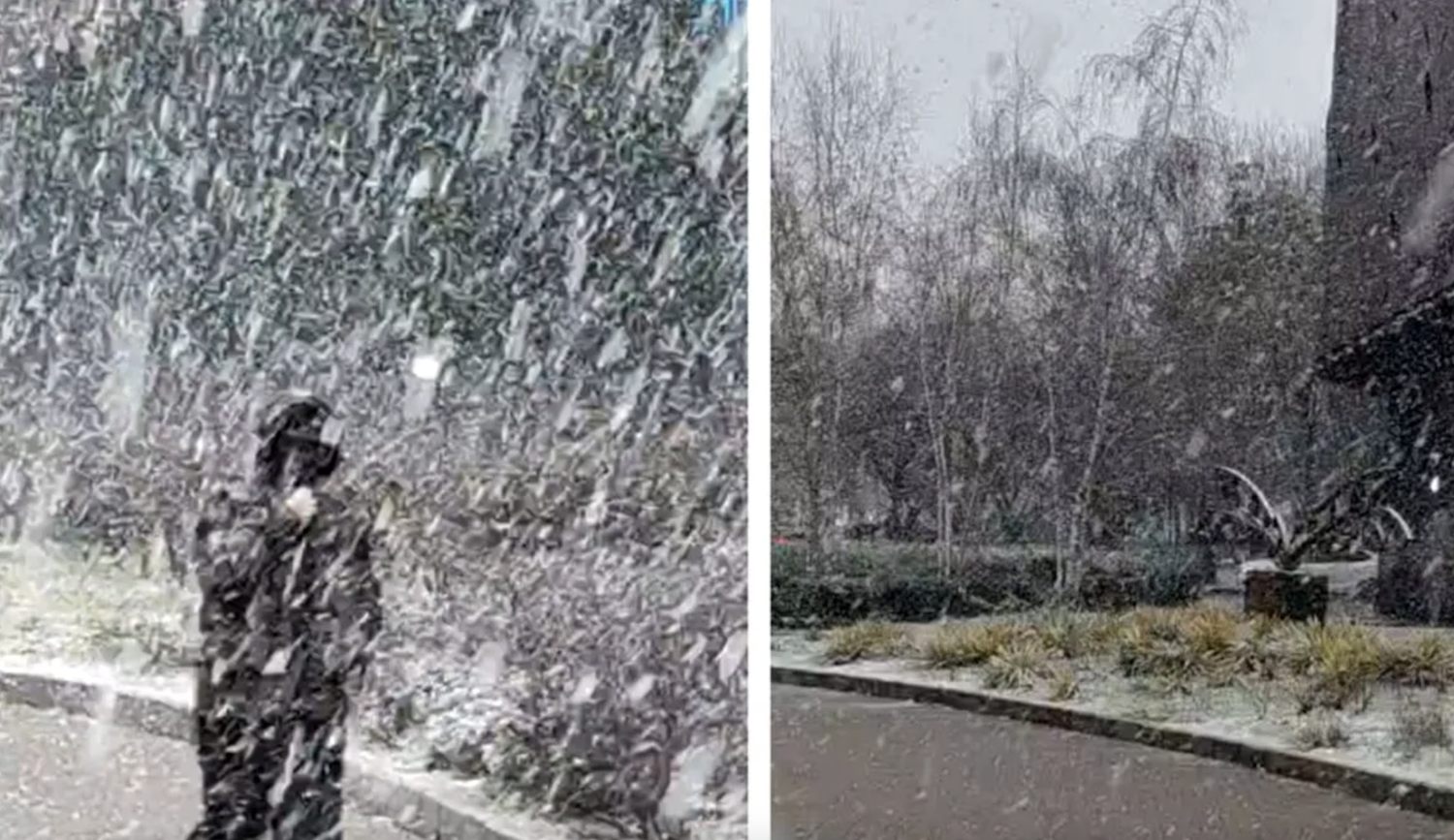 Prima ninsoare din 2026 a transformat Bucureștiul într-un peisaj de poveste. Imagini surprinse în urmă cu puțin timp: