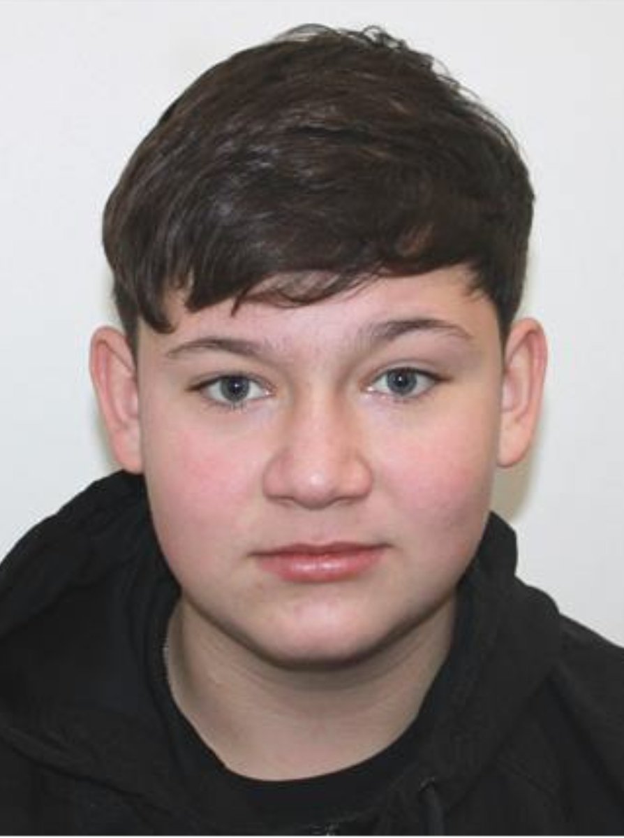 Ce riscă cei trei minori acuzați pentru faptele comise împotriva lui Mario. Explicațiile avocatului Adrian Cuculis