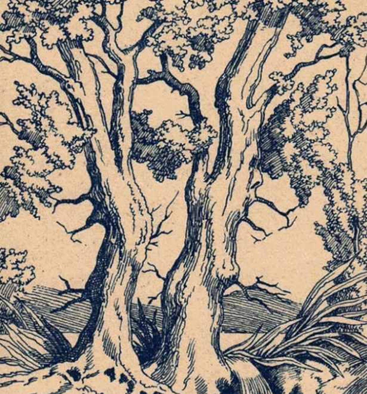 Iluzie optică virală: doar mințile agere pot descoperi cele 3 chipuri ascunse