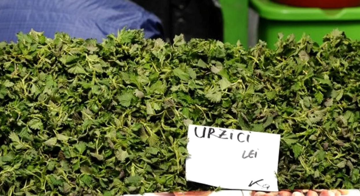 Cât au ajuns să coste urzicile în februarie 2026. Românii cumpără doar cantități foarte mici.
