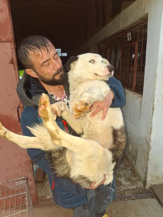 A sfidat frigul și regulile pentru a salva 100 de suflete! Mihai, eroul din Suraia care a intrat singur în „adăpostul groazei”