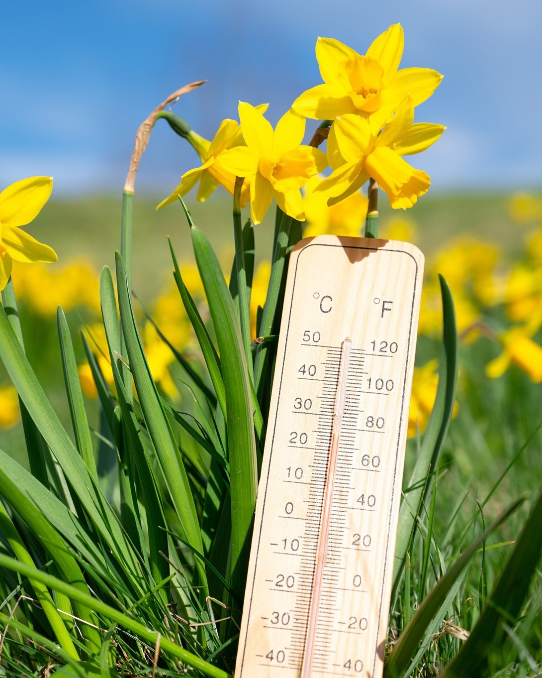 Prognoza meteo pentru martie 2026: Administrația Națională de Meteorologie anunță temperaturi peste media perioadei