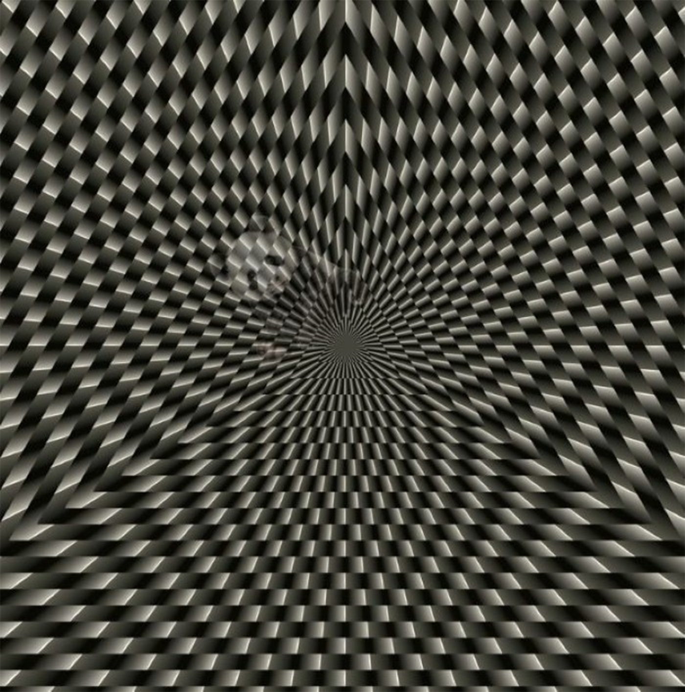 Iluzie optică: poți descoperi animalul ascuns în imagine? Doar cei foarte atenți îl văd în 19 secunde