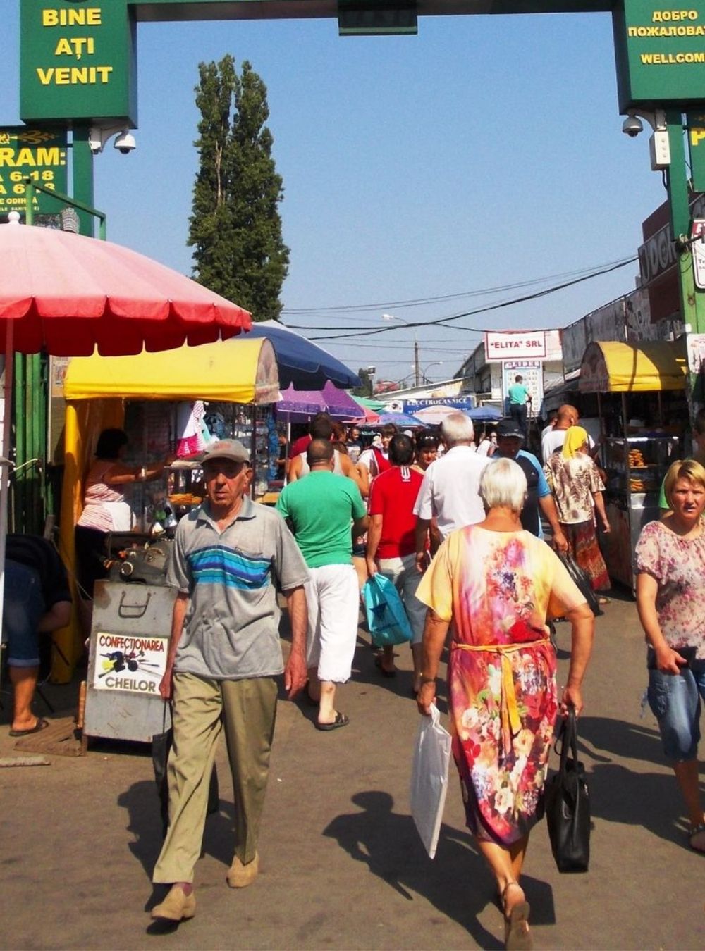 Agitație în piață! A apărut mielul înainte de Paște.Prețul neașteptat…