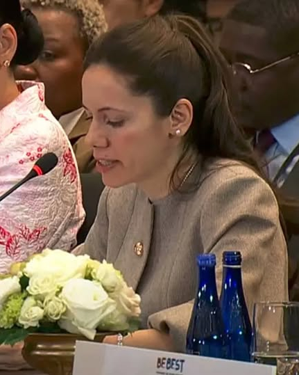 Cât a vorbit Mirabela Grădinaru la Washington și ce moment din discurs a atras atenția