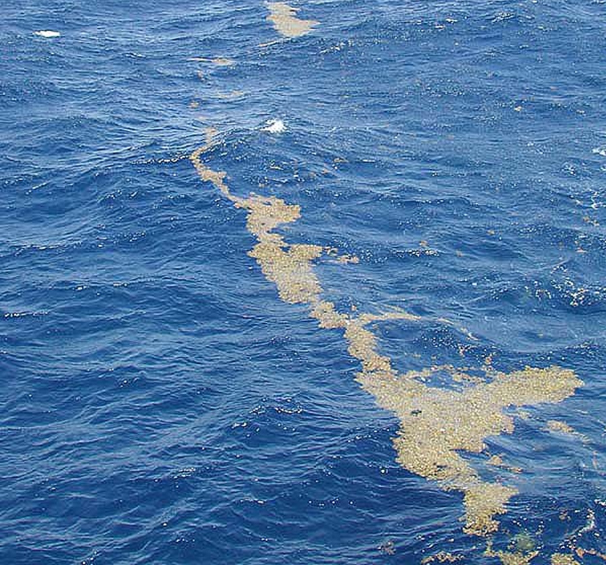 Marea fără țărmuri: locul fascinant de pe Pământ care nu atinge niciun mal