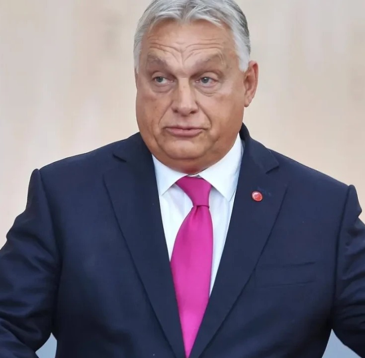 Tensiuni la mitingul lui Viktor Orbán! Reacția dură a premierului după huiduielile din mulțime