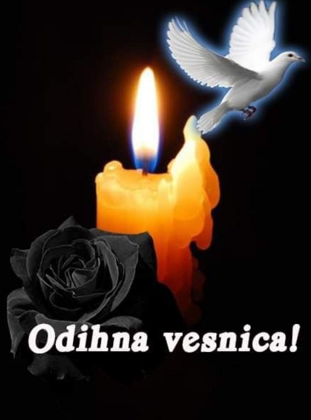 Lumea sportului românesc, în doliu. Fosta campioană din atletism a încetat din viață…