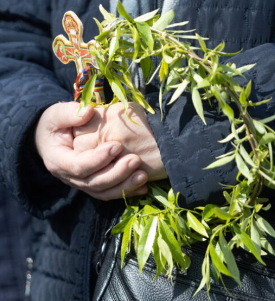 Salcia sfințită de Florii, simbol al norocului și protecției în casă. Unde este bine să o păstrezi