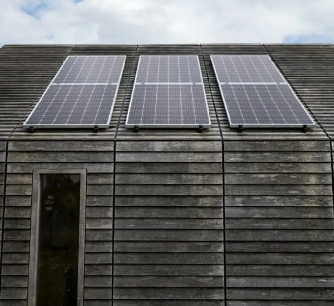 Descoperire revoluționară: lemnul care produce energie chiar și noaptea ar putea schimba complet viitorul electricității