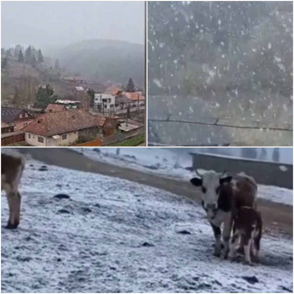 Locul din România unde au fost -9°C la final de aprilie! A nins ca în plină iarnă