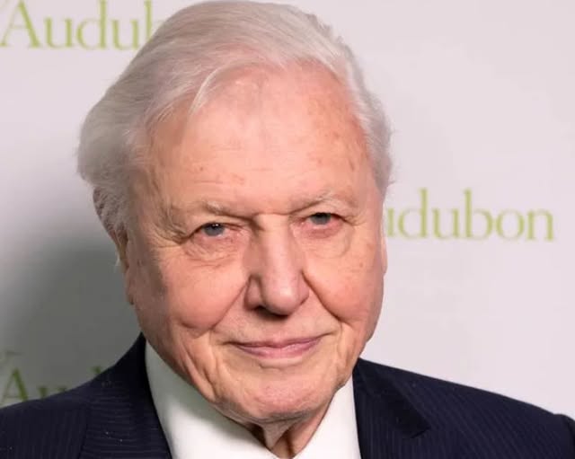 Secretul longevității lui David Attenborough! Alimentul la care legenda BBC a renunțat aproape complet după 100 de ani de viață