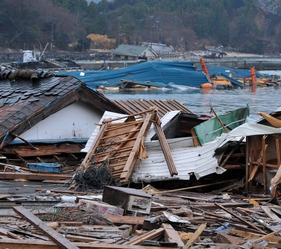 Un seism de 6,7 magnitudine pe scara Richter a zguduit…
