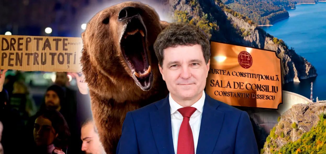 Decizii importante ale CCR în dosarele privind urșii și hidrocentralele. Sesizările președintelui au fost respinse
