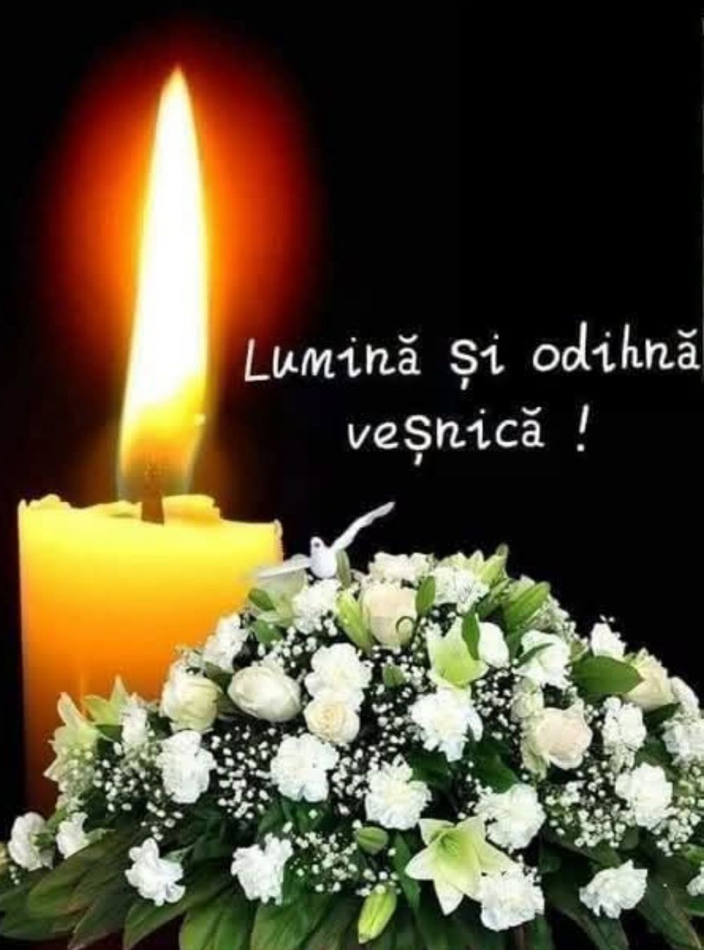Îngrozitor, ce durere! A murit Elena Cernica