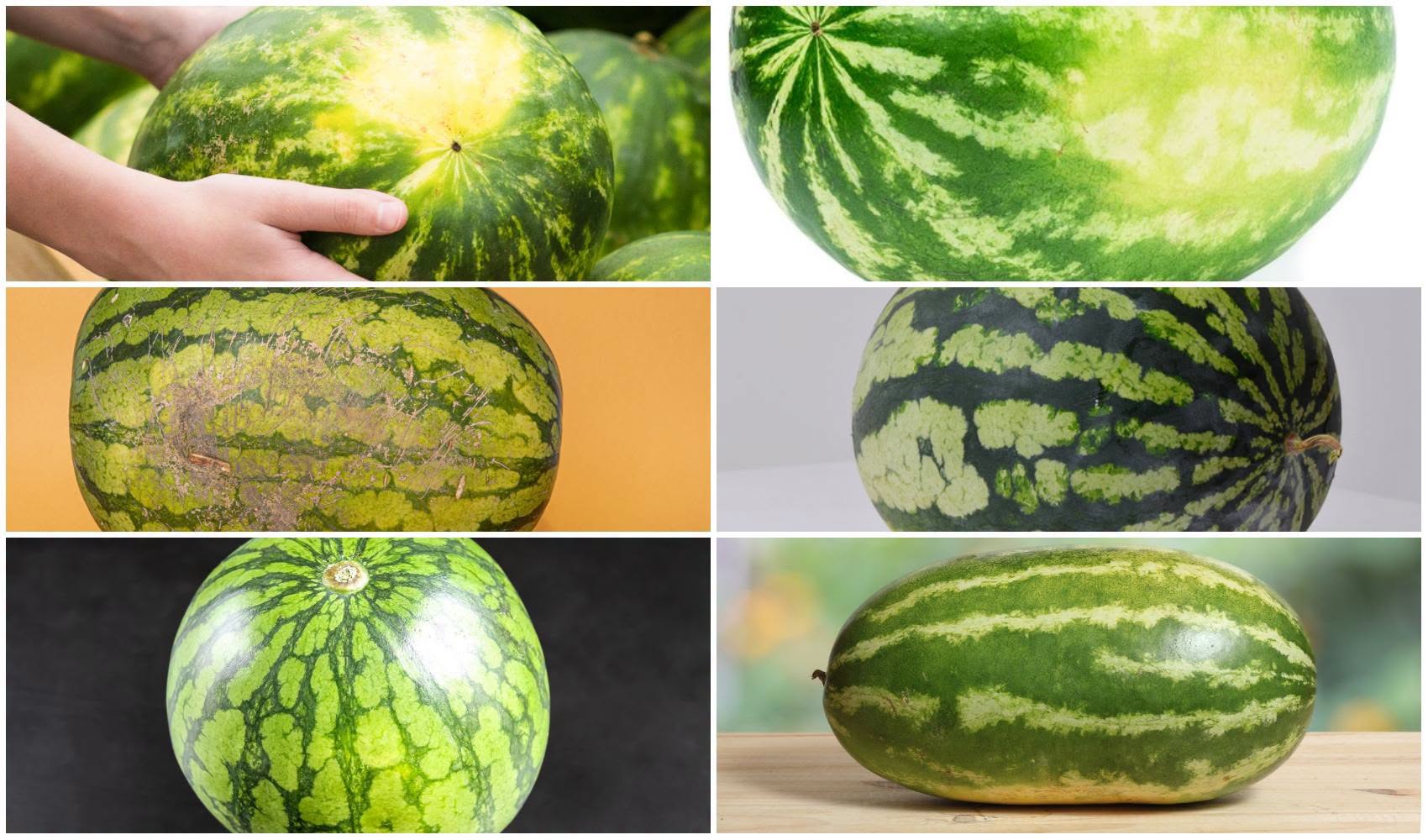 Cum alegi pepenele verde perfect. Semnele care îți arată că este dulce, zemos și bine copt