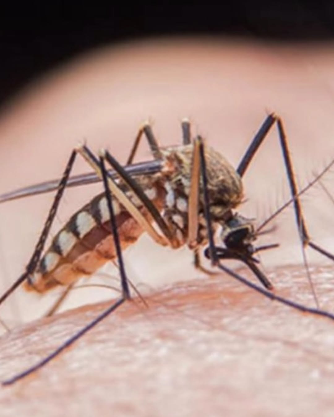 Alertă în plin sezon al vacanțelor. Virusul care se răspândește rapid