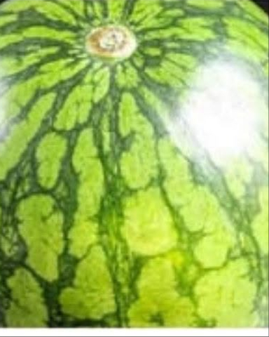 Cum alegi un pepene verde perfect copt. Trucurile simple care îți arată dacă este dulce, zemos și plin de savoare