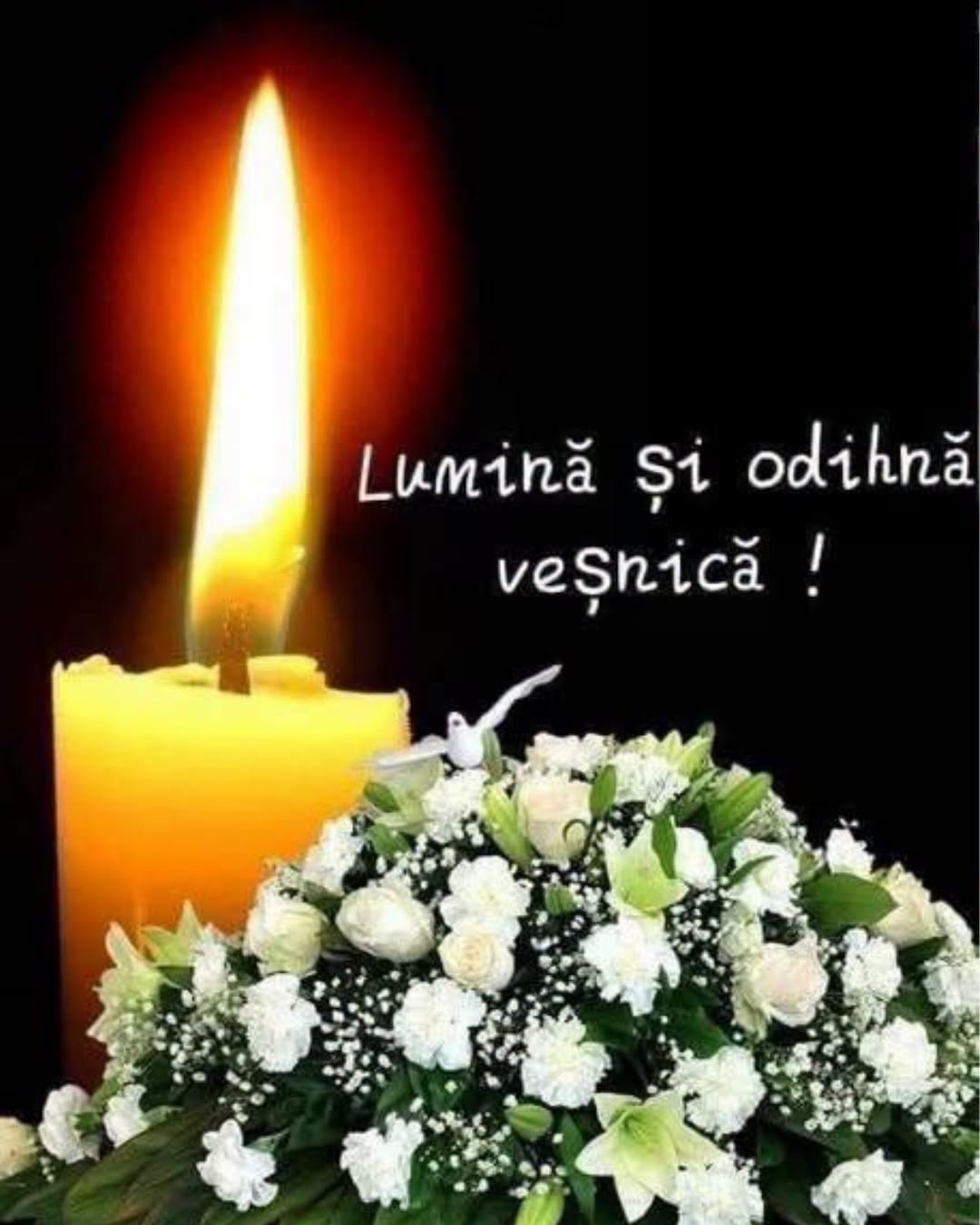 S-a stins din viață Vasile Co…